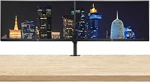 HP ASISP68 P244 2-Pack 23.8" IPS Monitor Bundle