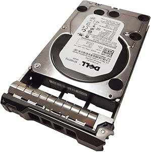 Dell WD1000FYYG-18A21V2 1TB NL SAS Hard Drive (Renewed)