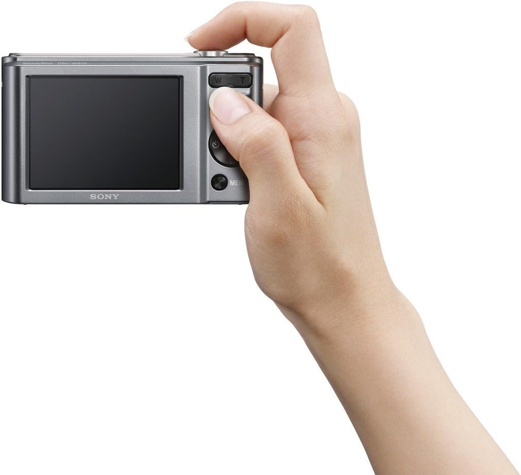 Sony DSCW810 Cyber-Shot 20.1MP Digital Camera