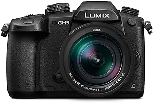 Panasonic CRTPNDCGH5LK LUMIX GH5 4K Camera (Renewed)