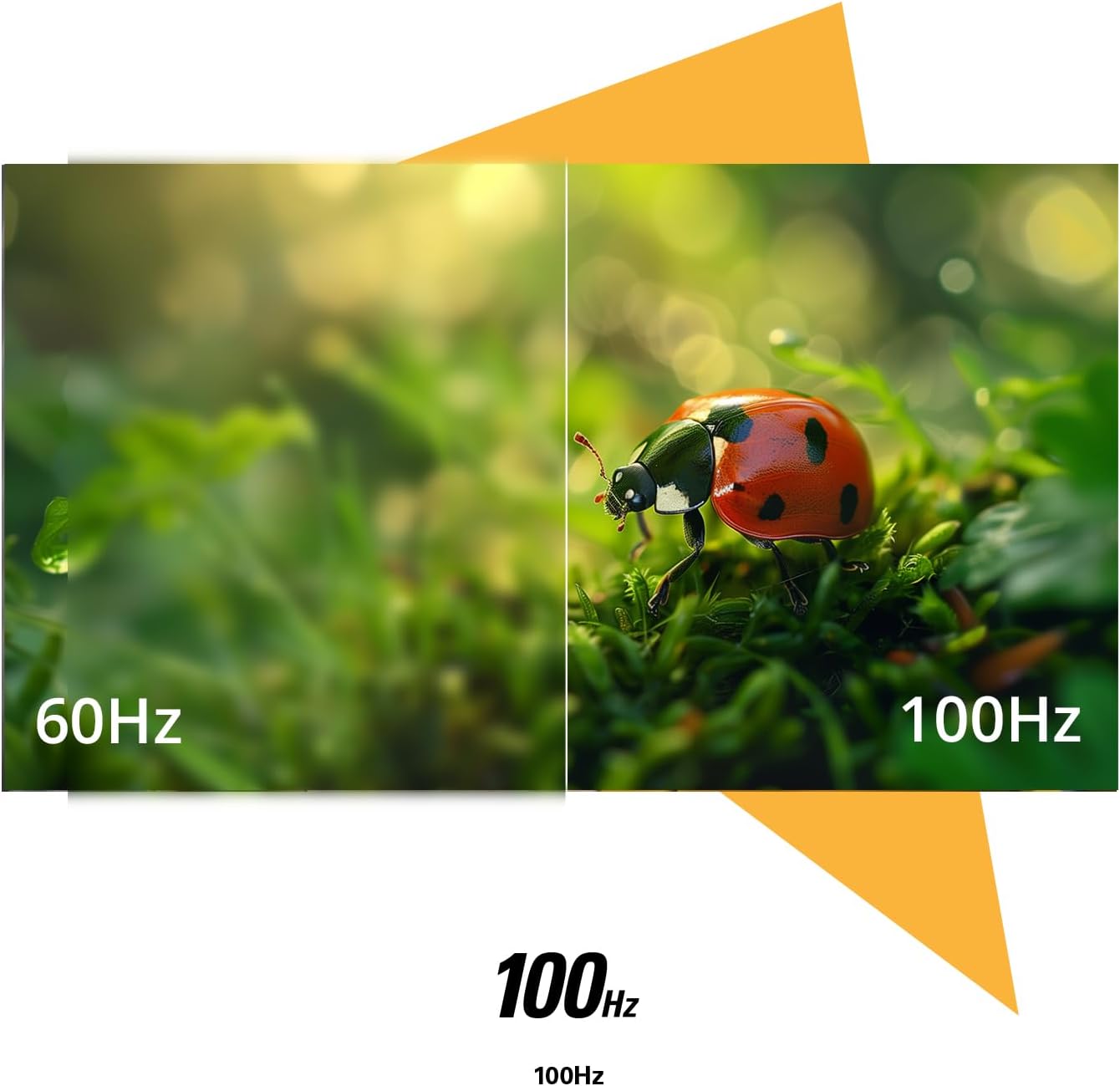 AOC 27B30H 27" FHD 100Hz IPS Frameless Monitor