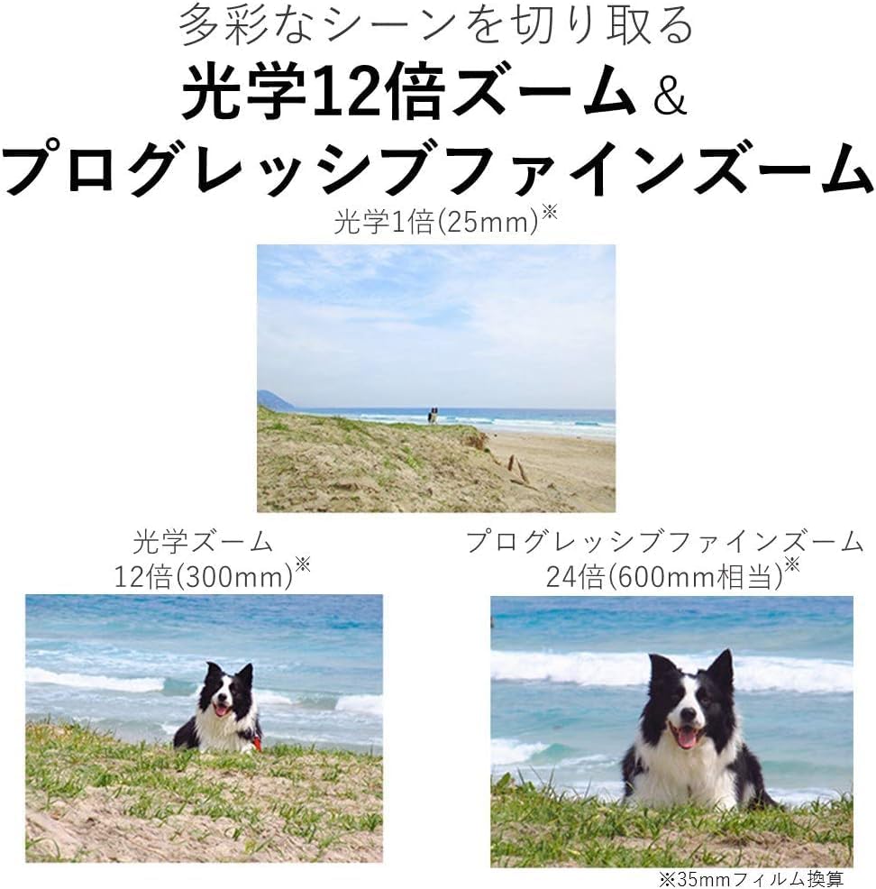 Canon 1078C001_EDI_1 IXY 650 Compact Camera Bundle Renewed