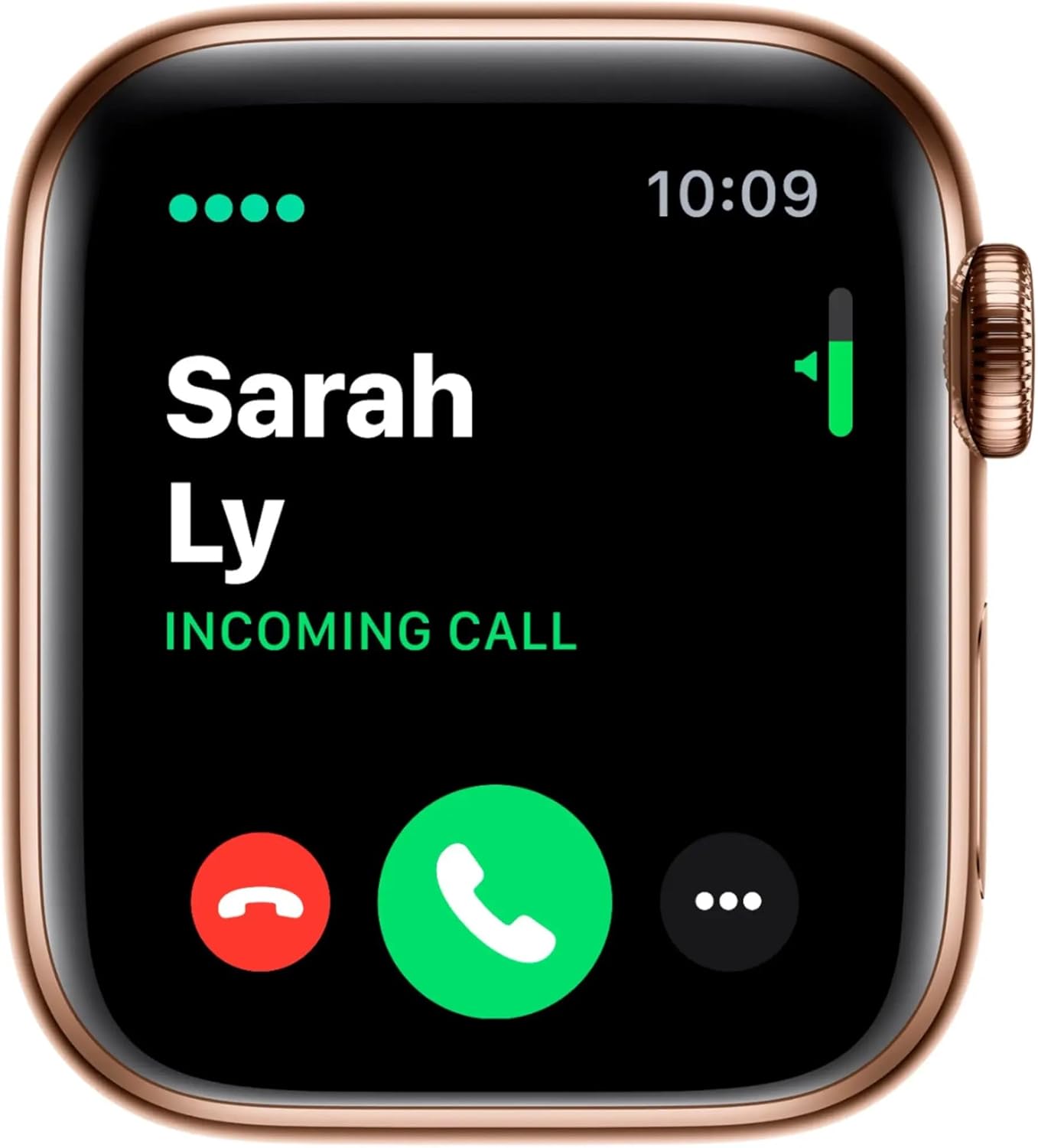 Apple Series 4 44mm GPS + Cellular Gold Stainless Steel Renewed