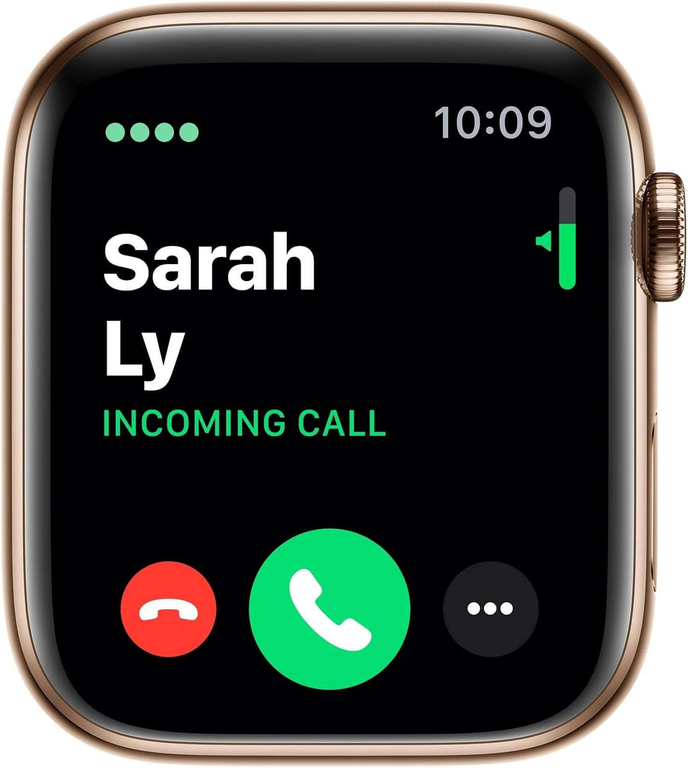 Apple Watch Series 4 40mm Steel Renewed