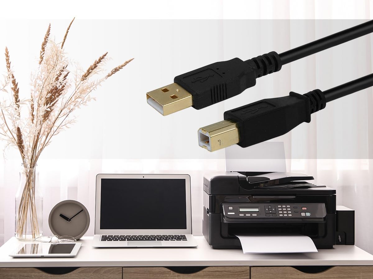 Monoprice 105440 USB A to B Cable 15ft