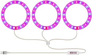 Dell Precision 3620 Tower i7 32GB 500GB NVMe Win10 (Renewed)