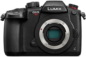 Panasonic DC-GH5S LUMIX GH5S 4K Mirrorless Camera