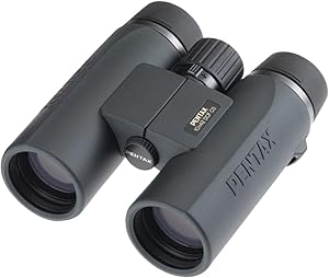 Pentax tao61825_C1659_698008 10x42 DCF CS Waterproof Binoculars — main product image
