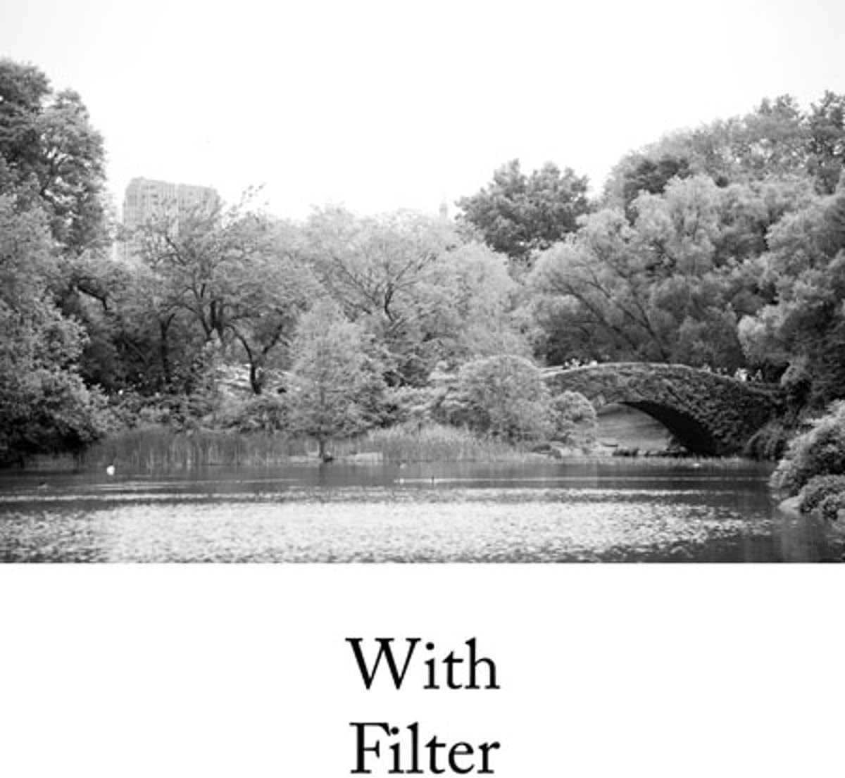 Hoya 0720 67mm HMC Yellow Filter - Color Correction