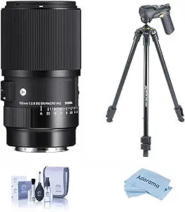 Sigma 105mm f/2.8 DG DN ART Macro Lens Sony E Bundle