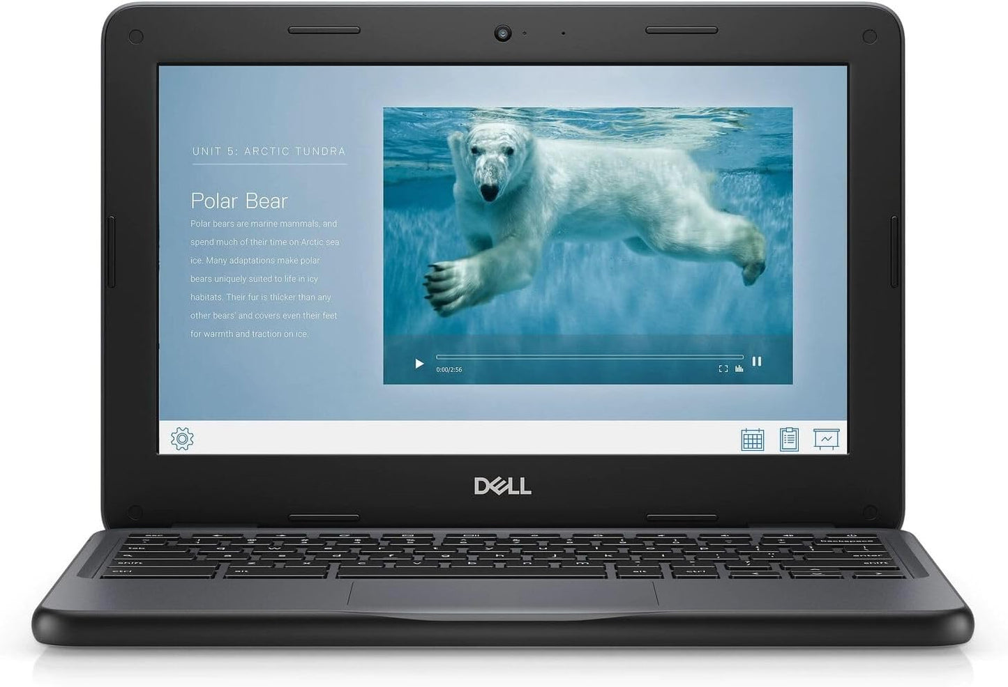 Dell Chromebook 3100 2-in-1 Renewed: 11.6" Touch, Celeron N4000