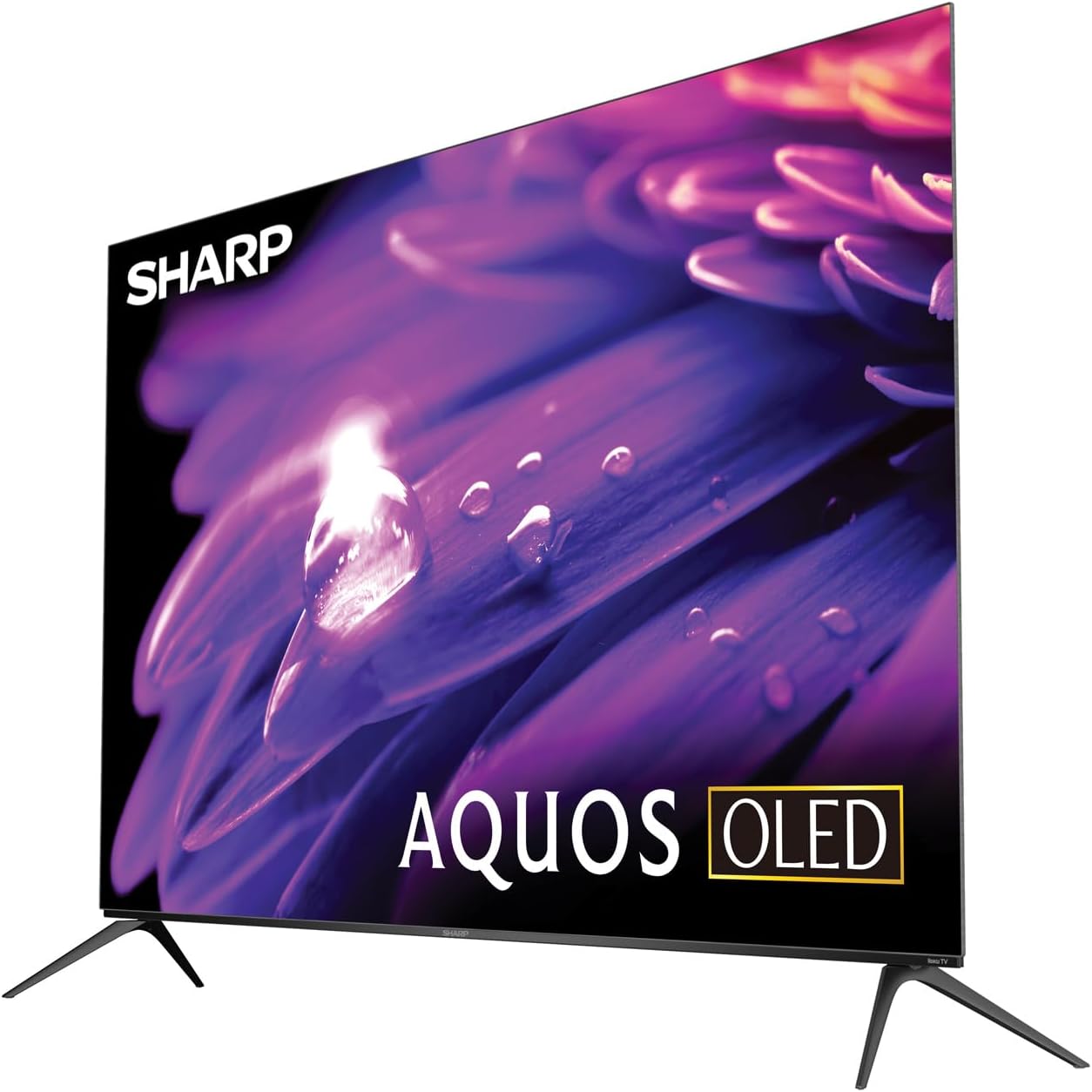 Sharp BNDL_4TC65FS1UR-WRTY2 AQUOS 65" OLED Roku TV + Protection