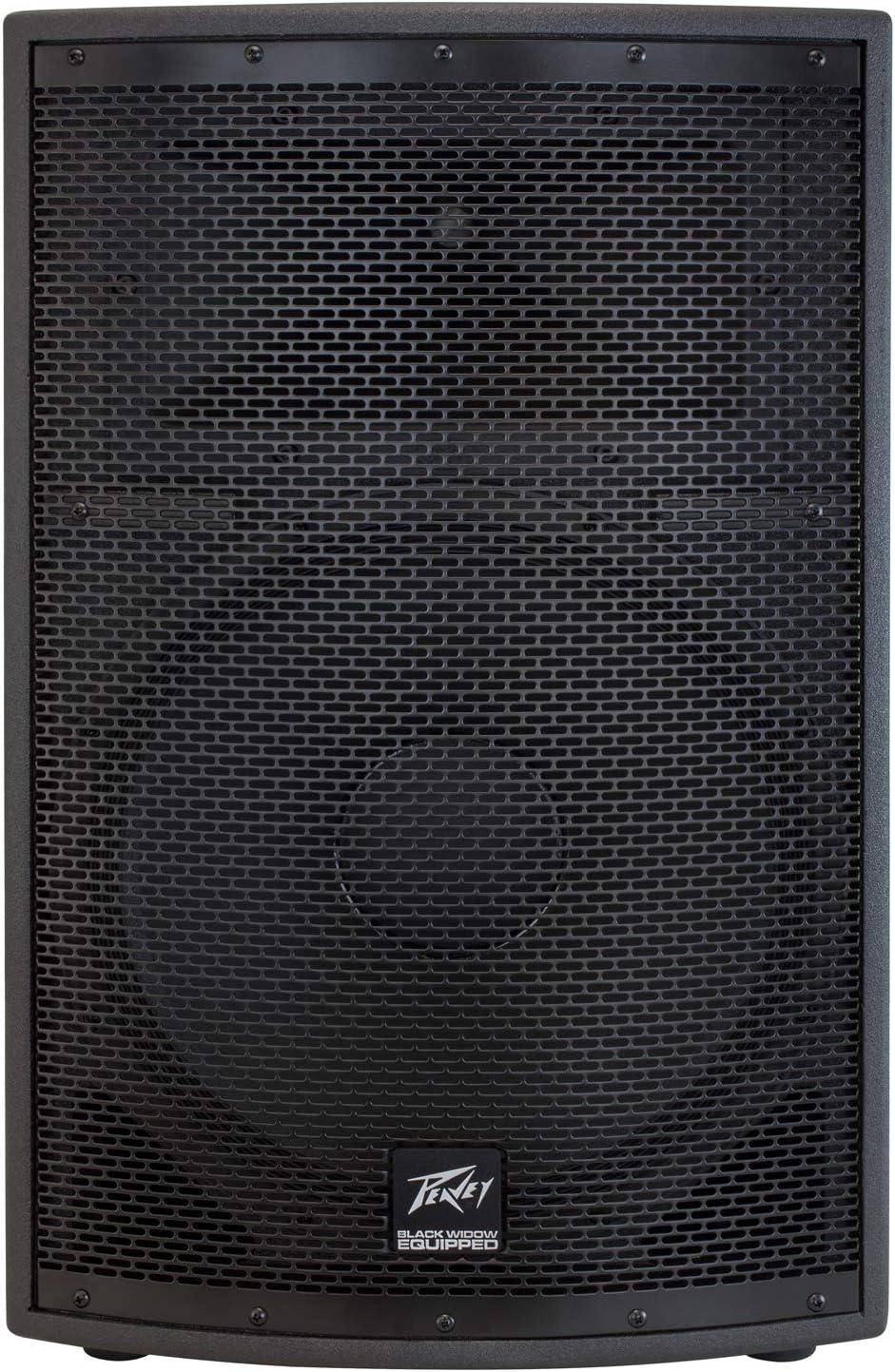Peavey PVSP2 1000W 2-Way PA Speaker System
