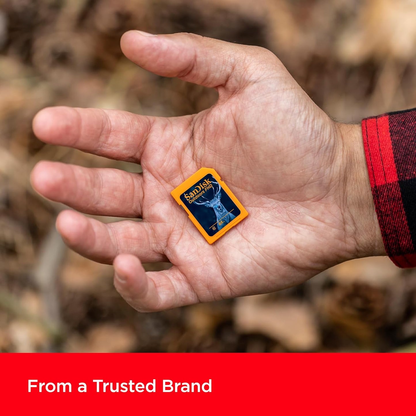 SanDisk SDSDUNR-032G-GN6V2 32GB SD Card 2-Pack Trail Camera