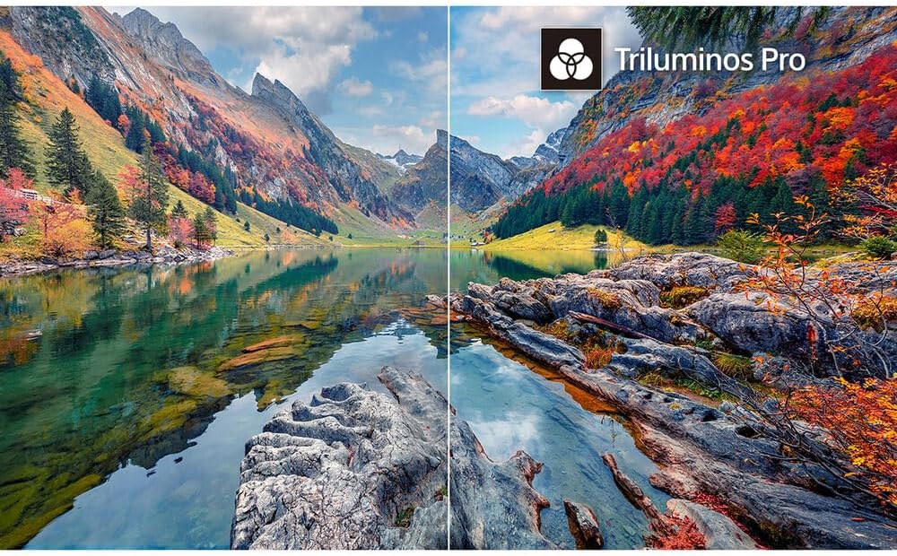 Sony E94SNK55S30 55" 4K HDR BRAVIA 3 Smart TV Bundle