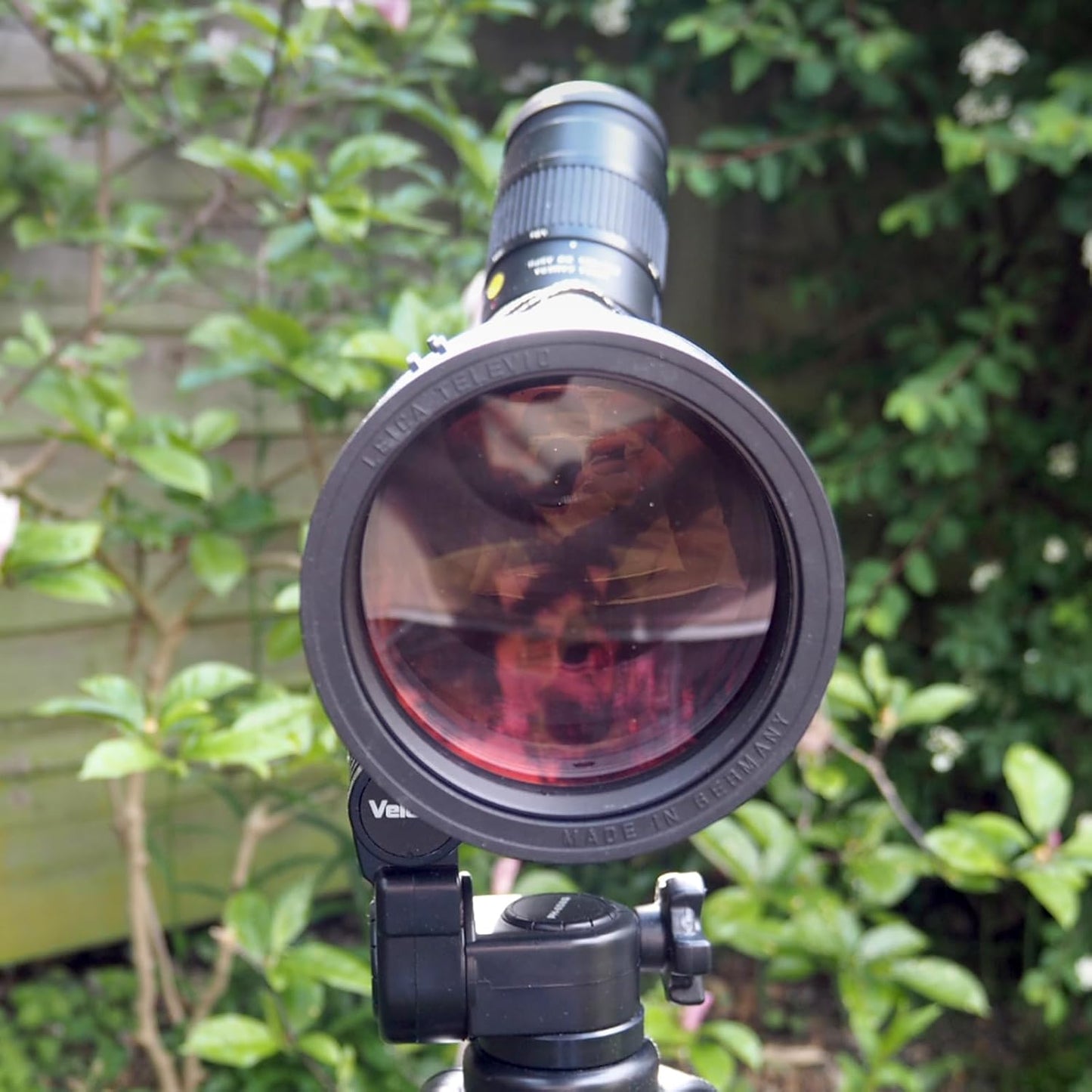 Leica APO-Televid 82 Spotting Scope - Angled - High Quality