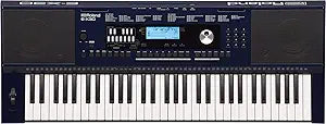 Roland E-X30 Arranger Keyboard Professional Sounds