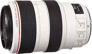 Canon 4426B002-cr EF 70-300mm Telephoto Zoom Lens Renewed