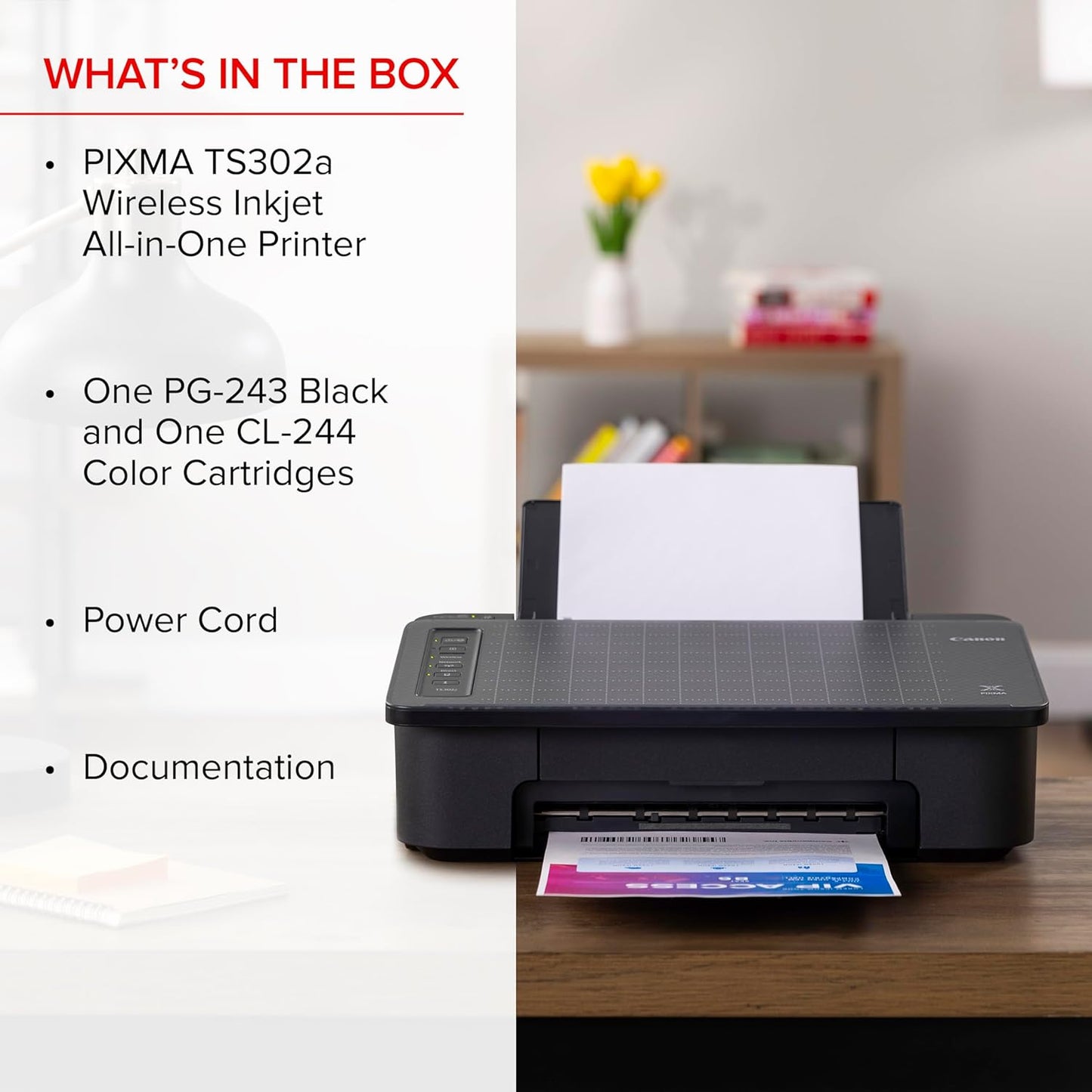 Canon 2321C022 PIXMA TS302a Wireless Home Printer