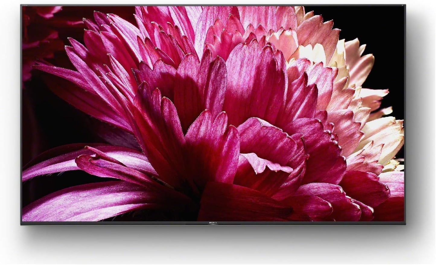 Sony XBR65X950G 65-Inch 4K Ultra HD Smart LED TV