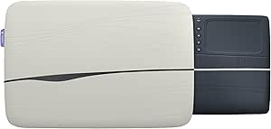 Logitech 939-000356 Touch Lapdesk N600 with Touchpad