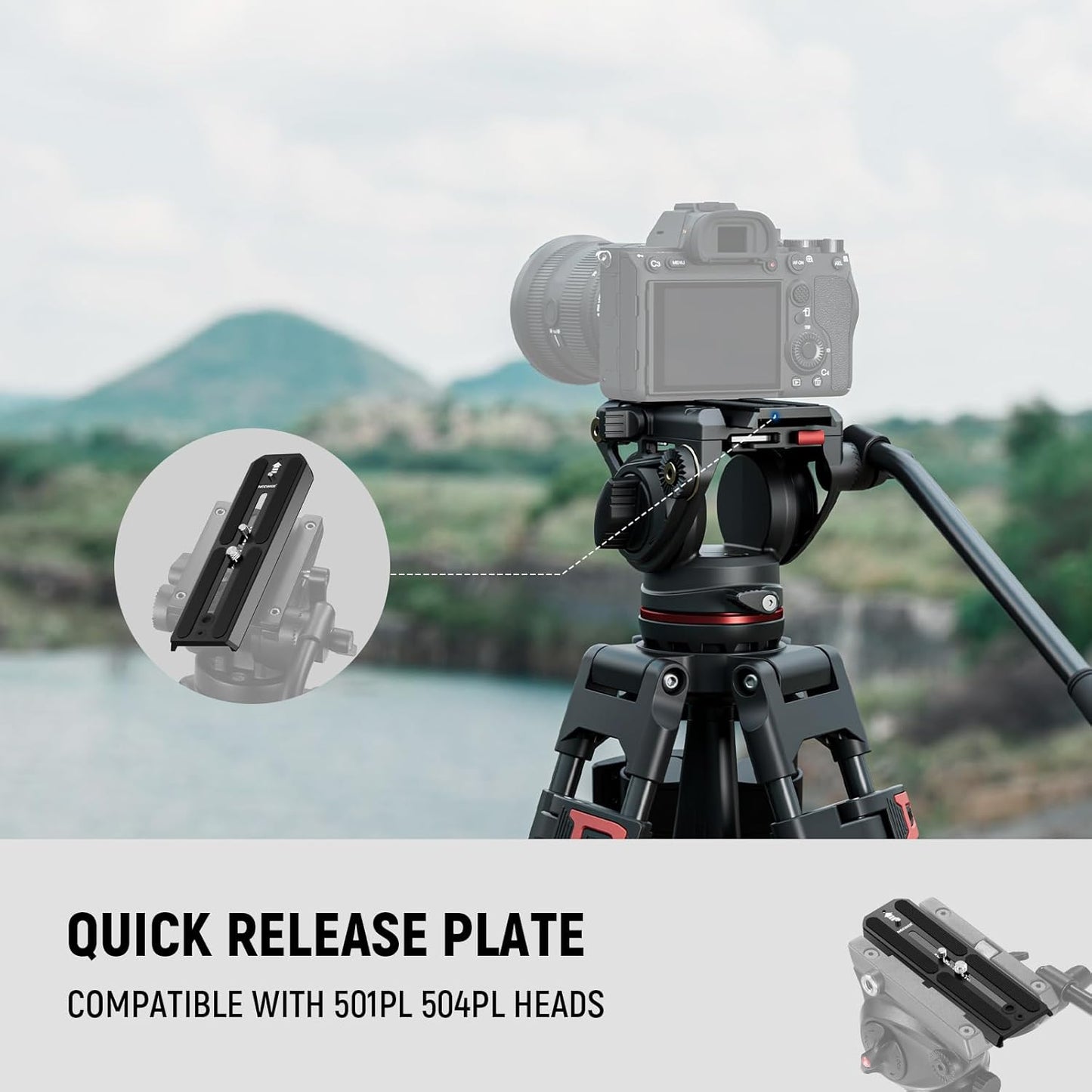 Neewer 10103683 501PL Tripod Quick Release Plate, 6.3" Extended