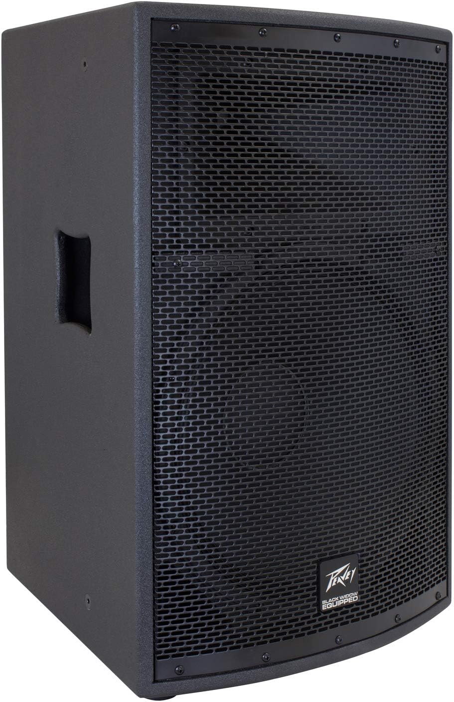 Peavey PVSP2 1000W 2-Way PA Speaker System