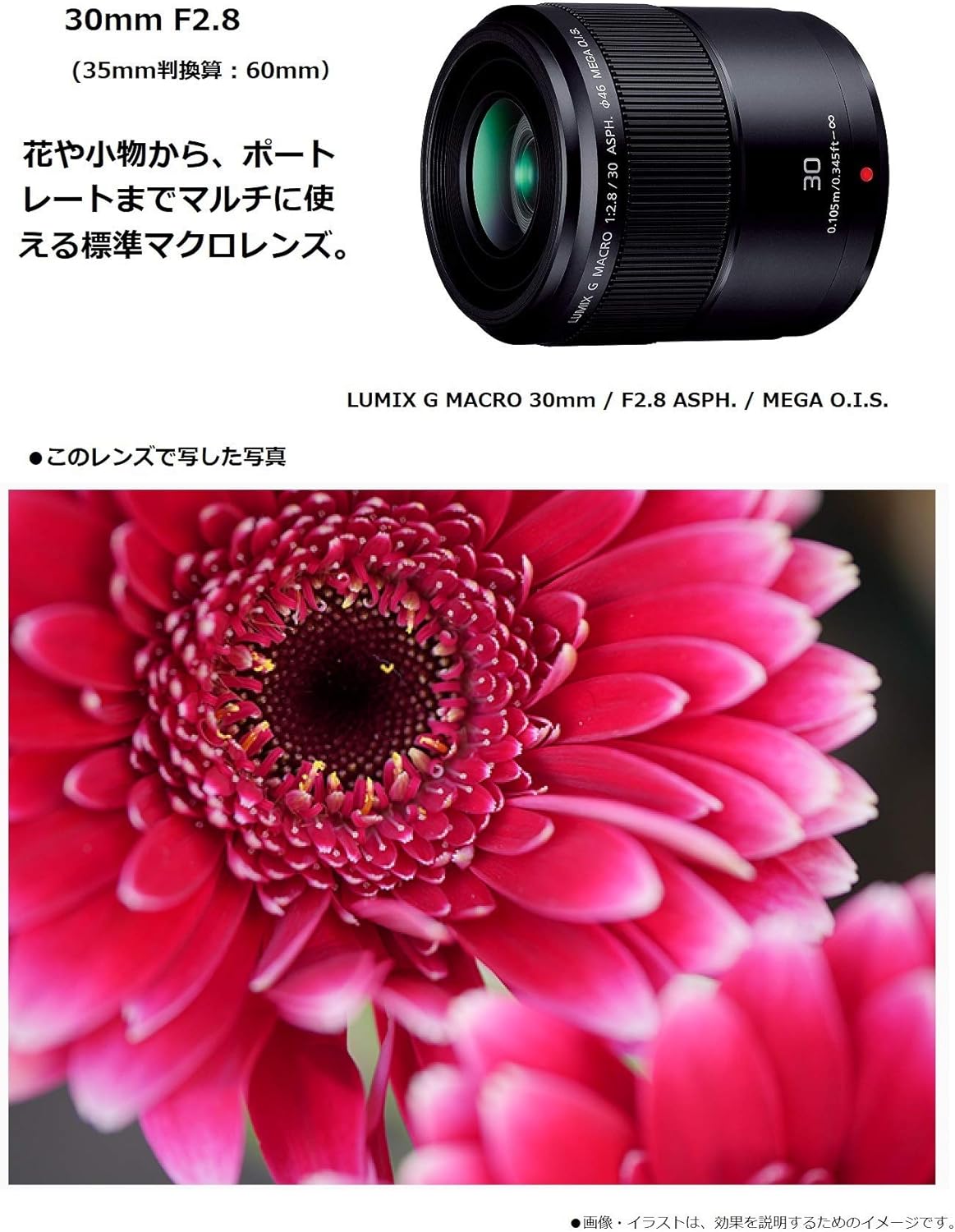 Panasonic H-HS030 Lumix G 30mm Macro Lens