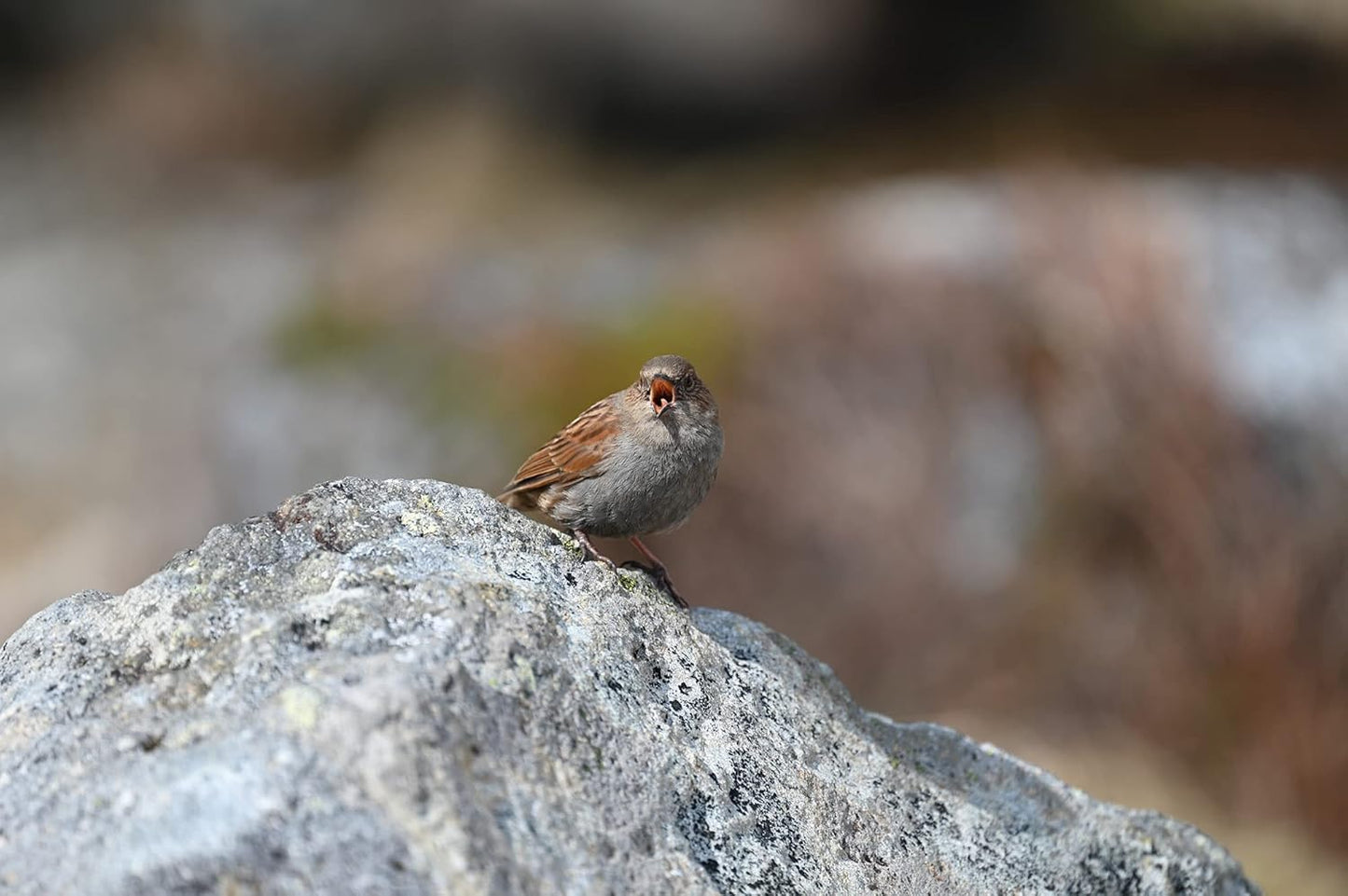 Nikon 20106 NIKKOR Z 100-400mm VR S Telephoto Zoom