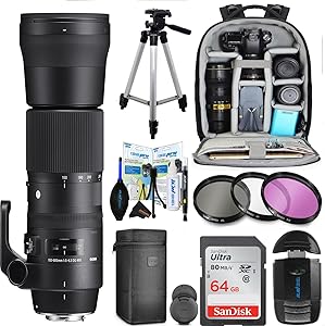 Sigma 150-600mm F/5-6.3 Nikon Telephoto Zoom Lens — main product image