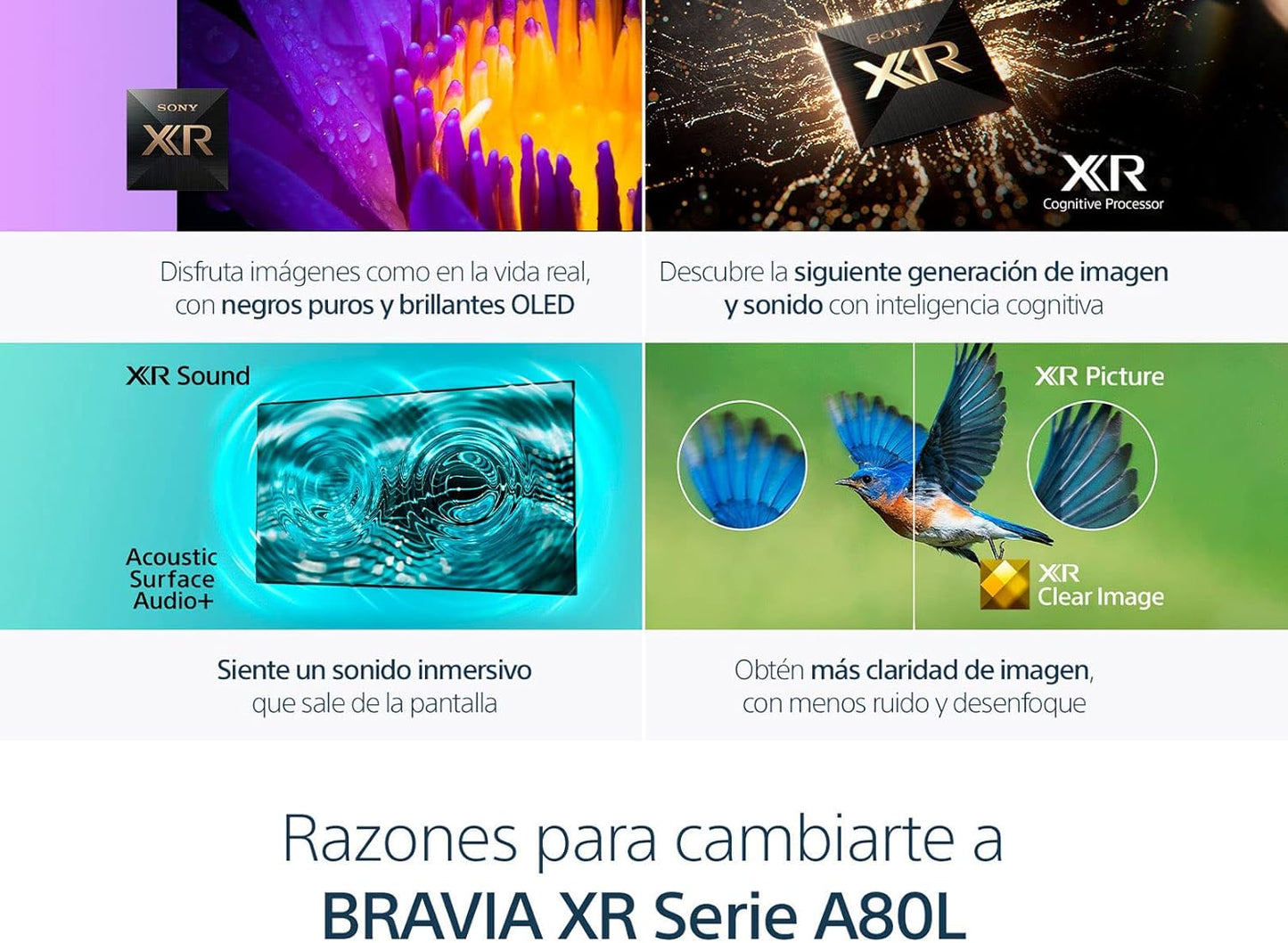 Sony CRT2SNXR55A80L 55" 4K OLED Google TV: BRAVIA XR A80L (Renewed)
