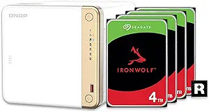QNAP TS-462-4G NAS 12TB Seagate IronWolf RAID Bundle