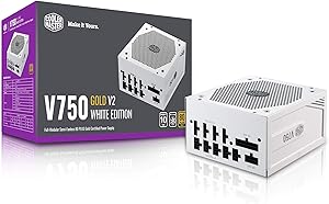 Cooler Master MPY-750V-AGBAG-US V750 750W PSU