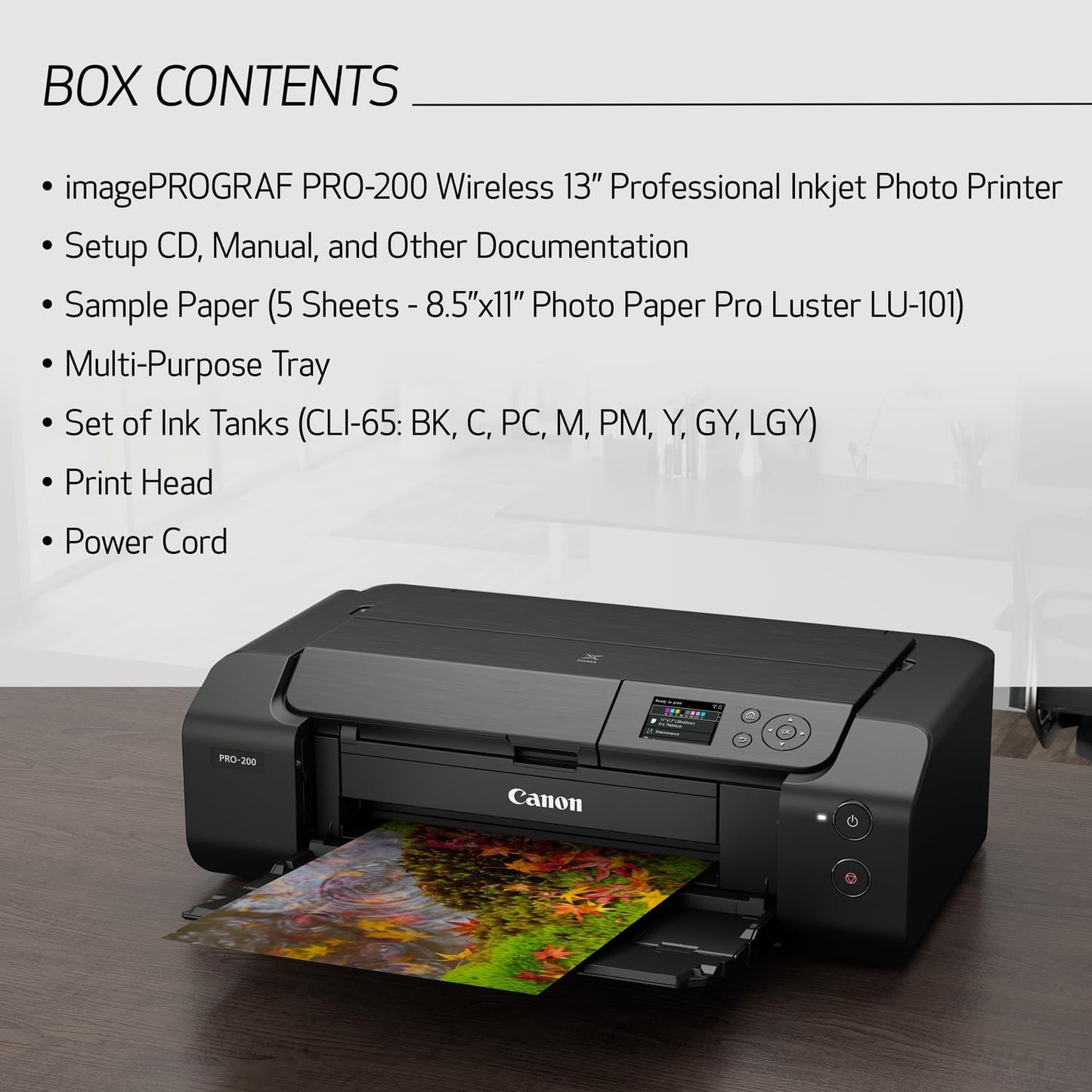 Canon 4280C002 PIXMA PRO-200 Wireless Inkjet Photo Printer