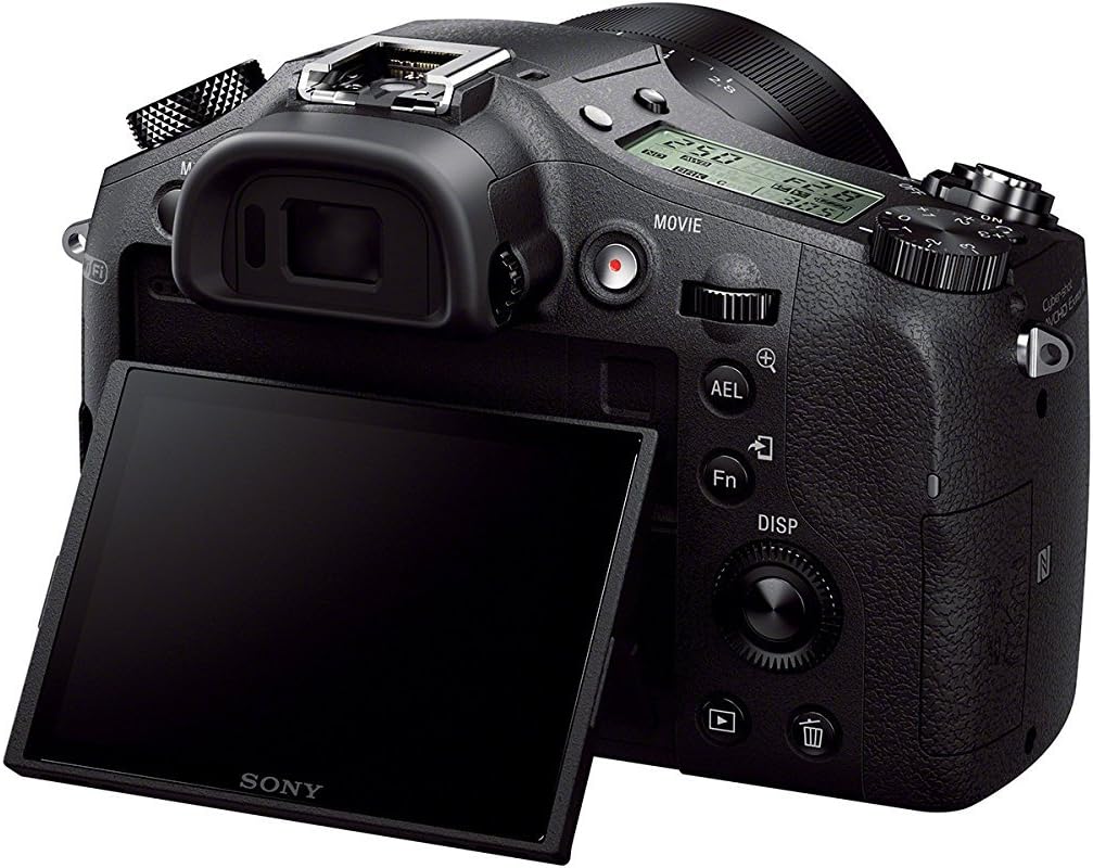 Sony DSCRX10/B Cybershot 20.2MP Digital Camera