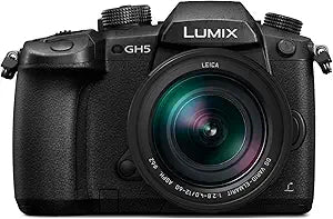 Panasonic DC-GH5LK LUMIX GH5 4K Camera w/ 12-60mm Lens (Refurbished)