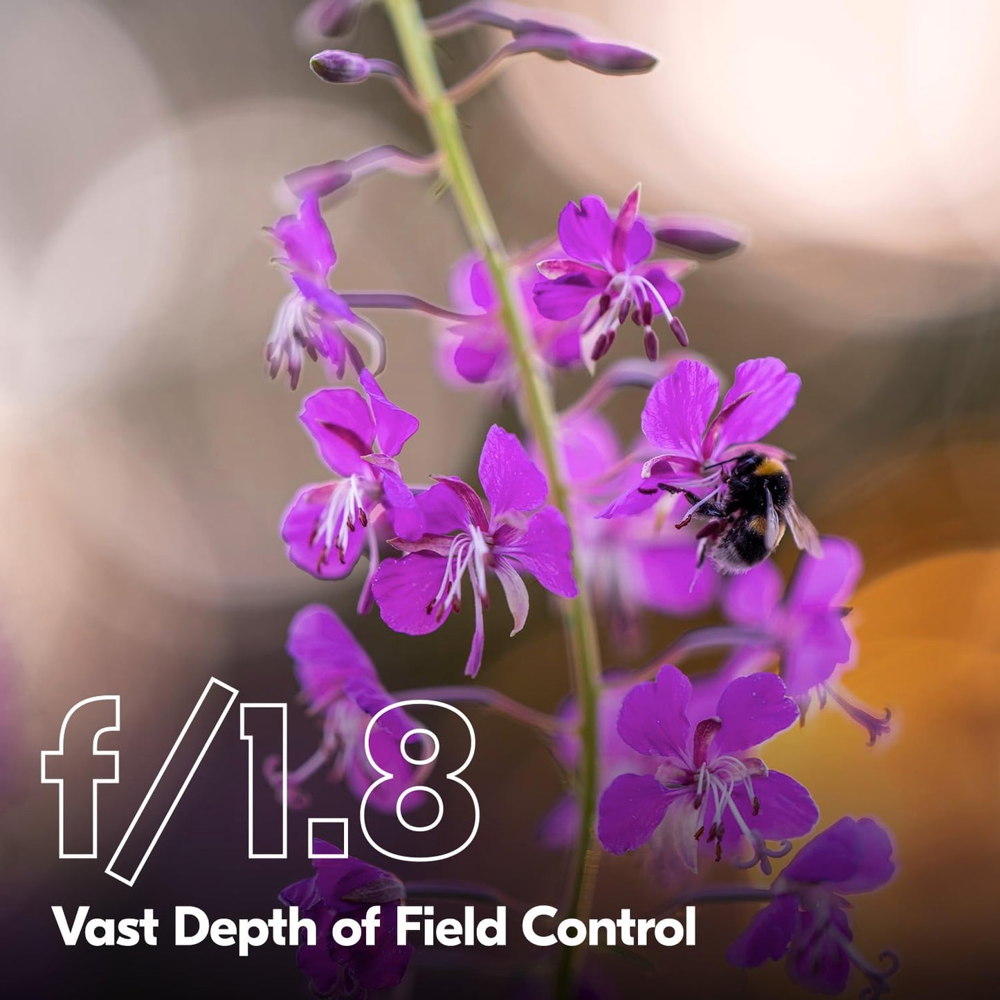 Nikon 20123 NIKKOR Z 135mm f/1.8 S Plena Telephoto Lens