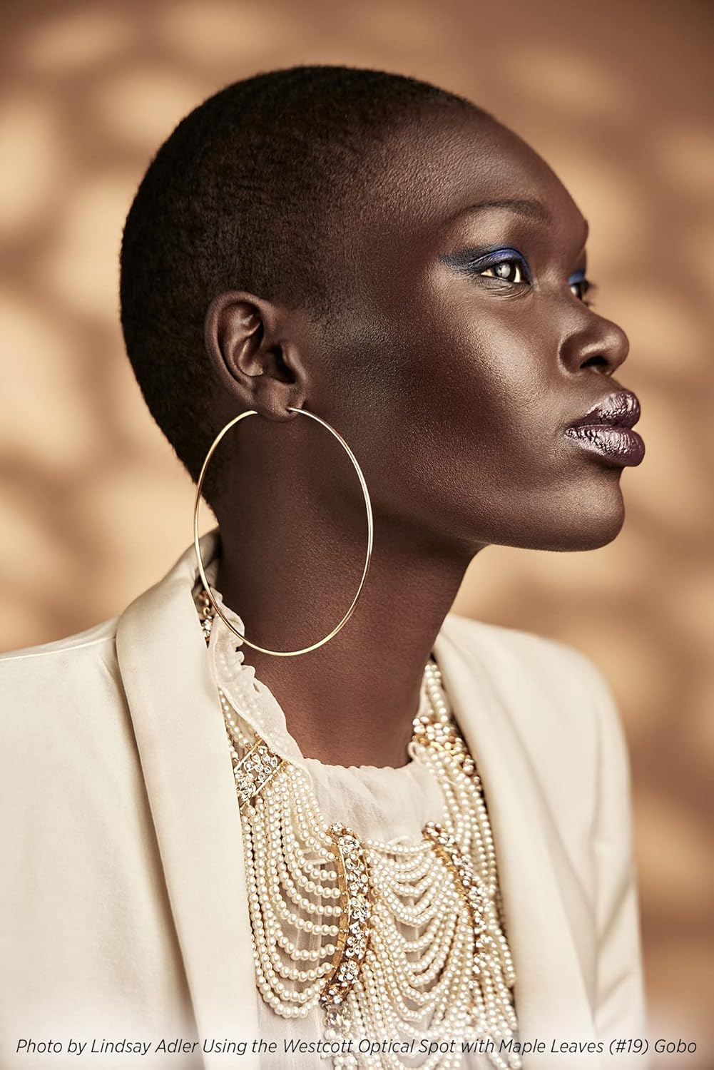 Westcott 4764 GOBO Environmental Designs 10-Pack