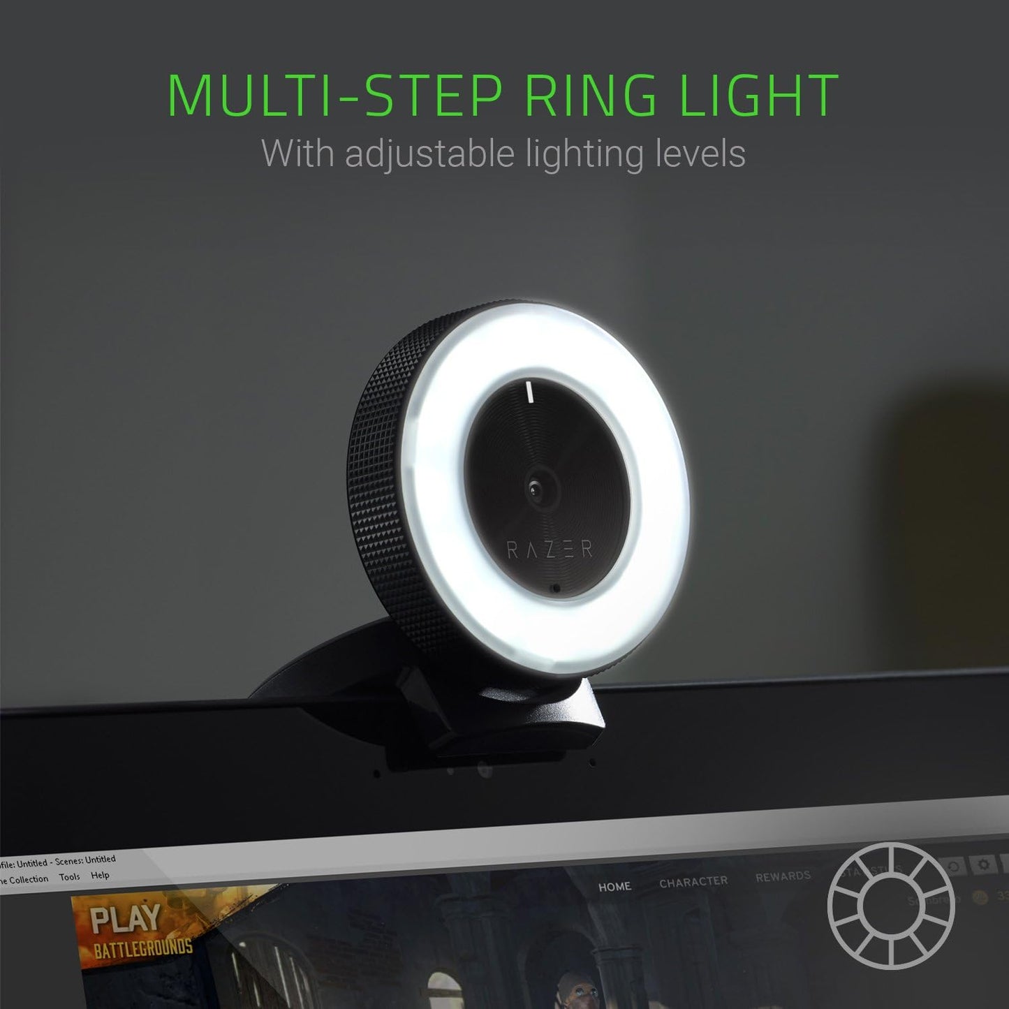 Razer RZ19-02320100-R3U1 Kiyo Streaming Webcam Ring Light