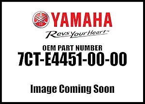 Yamaha 7CT-E4451-00-00 Air Cleaner Element OEM — main product image