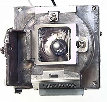 BenQ 5J.J5205.001 Projector Lamp Module — main product image