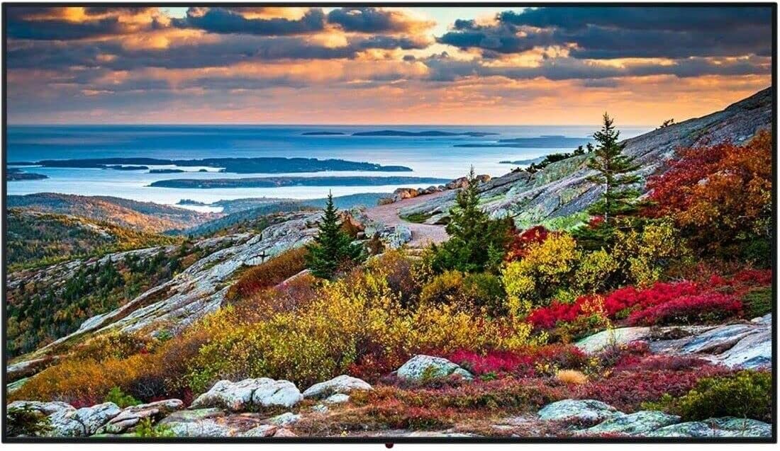 Panasonic TH-86CQE1W 86" 4K UHD Digital Signage Display Renewed