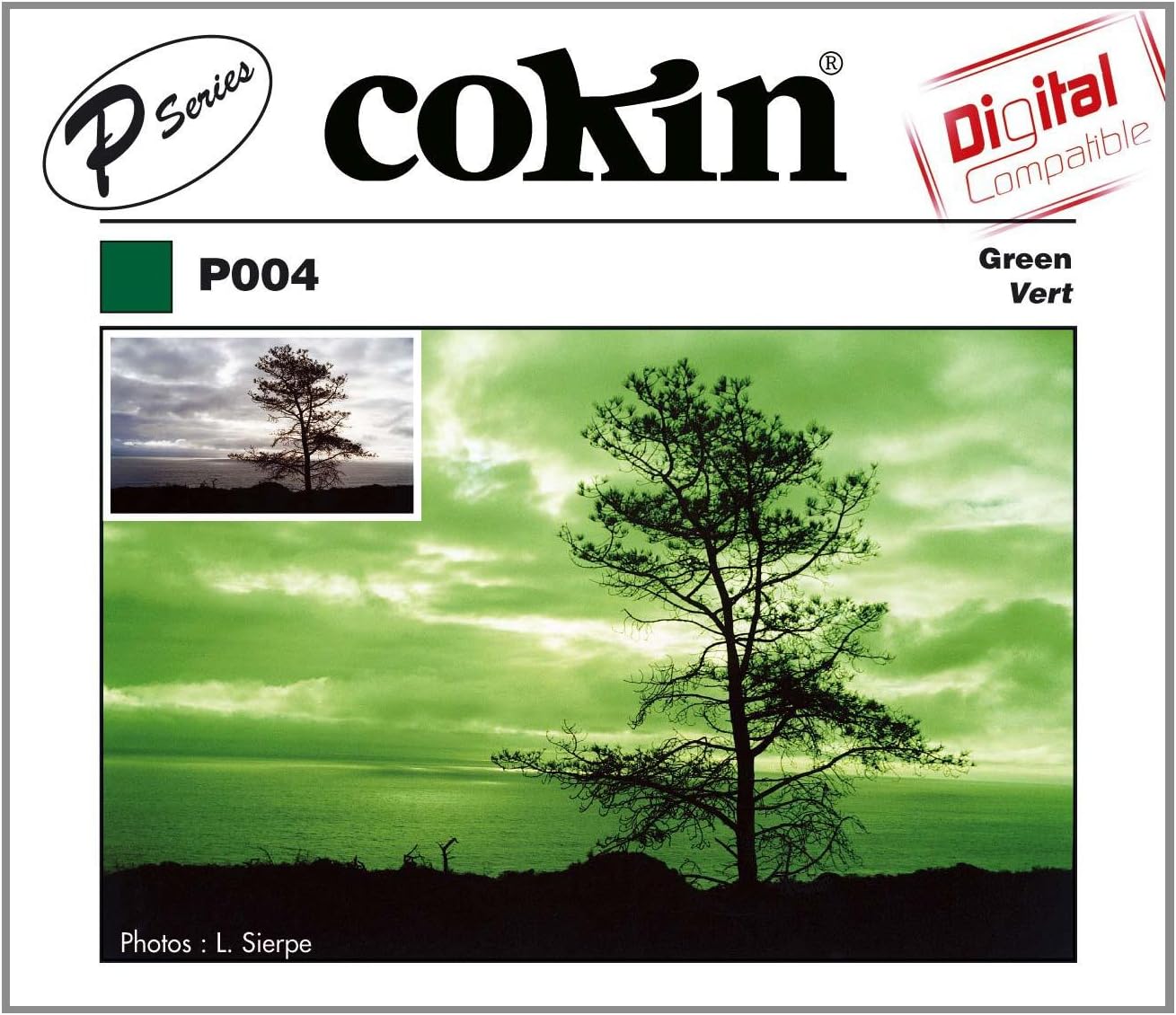 Cokin WP1R004 P-Series Green Filter for B&W Photography