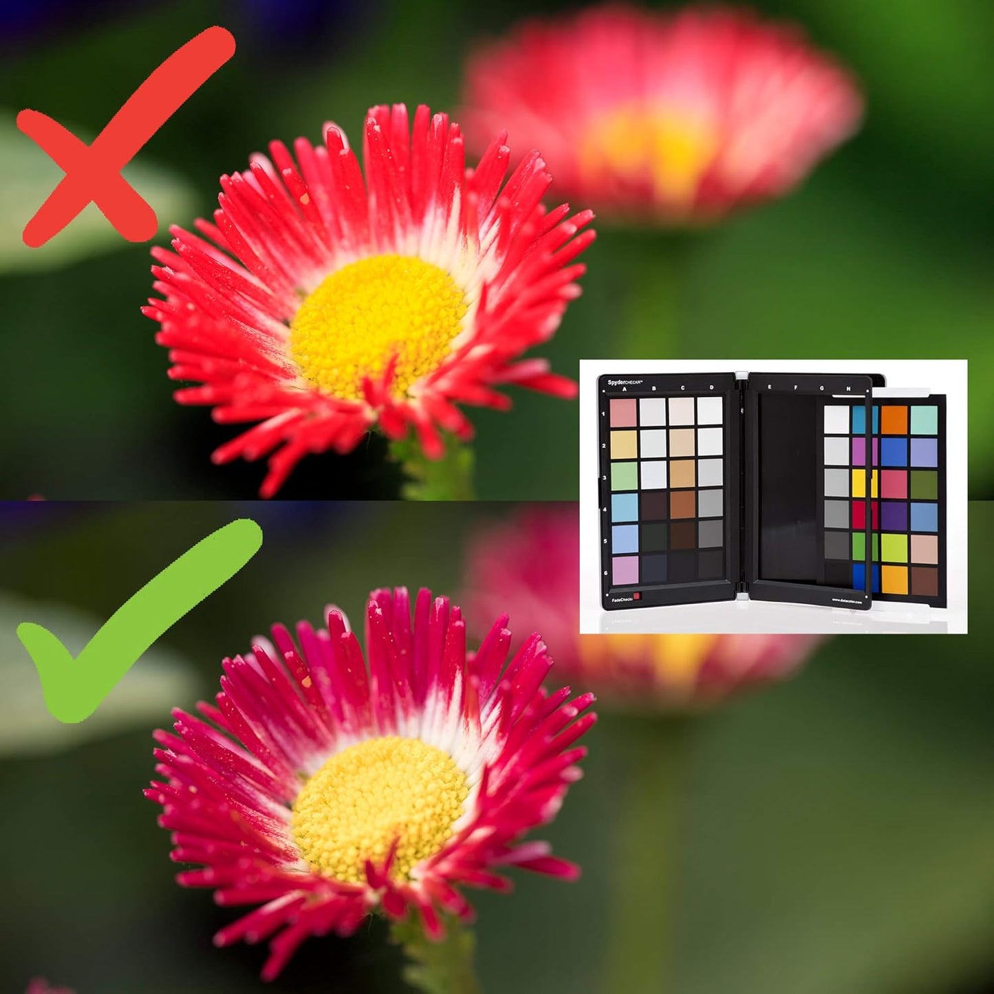 Datacolor SXCAP100 Spyder X Capture Pro Photo Tool Kit