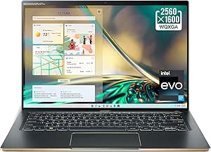 Acer NX.K0HAA.001 Swift 5 i7 Evo Touch Laptop