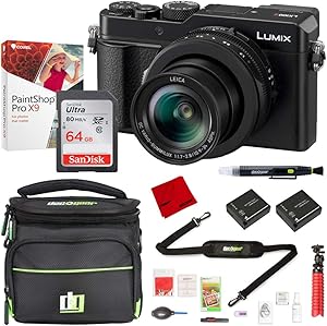 Panasonic E2PNDCLX100M2 LUMIX DC-LX100 II Camera Bundle