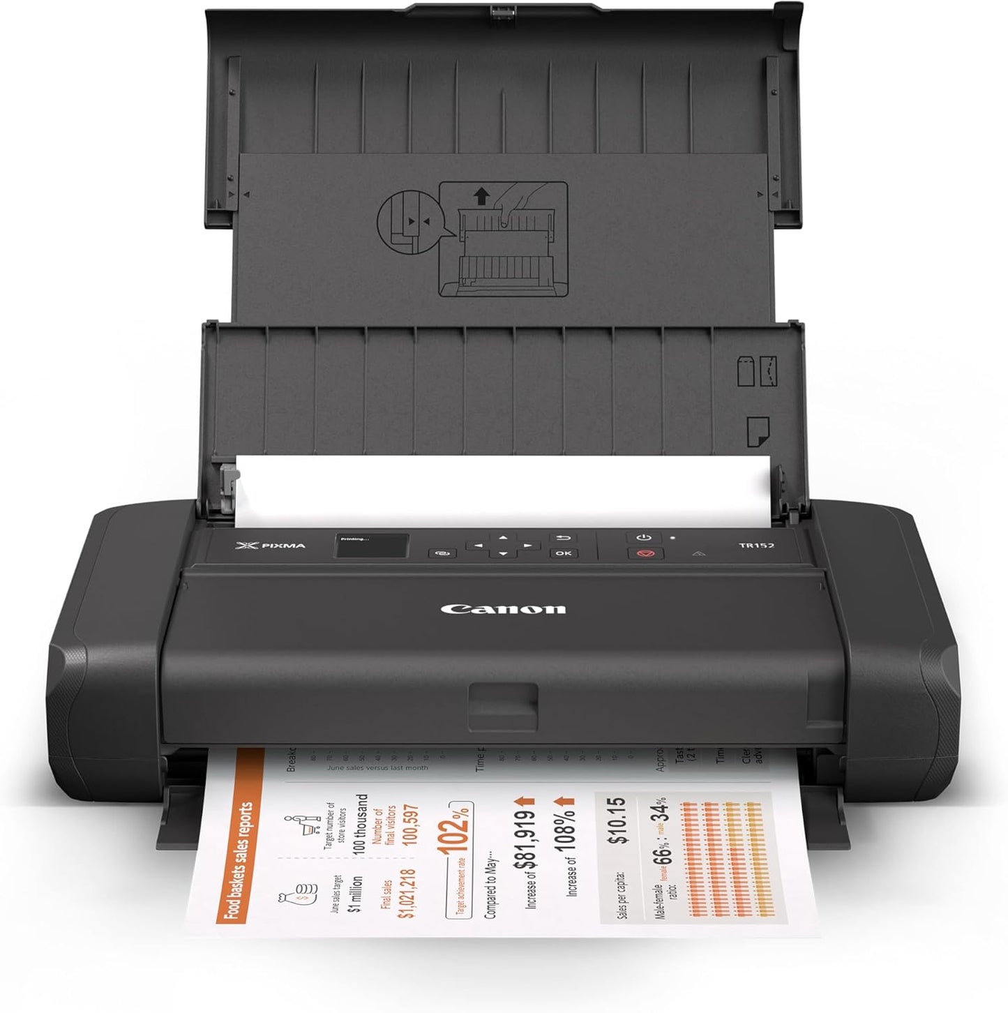 Canon 4167C042 PIXMA TR150 Wireless Portable Printer