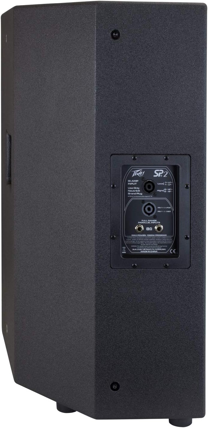 Peavey PVSP2 1000W 2-Way PA Speaker System