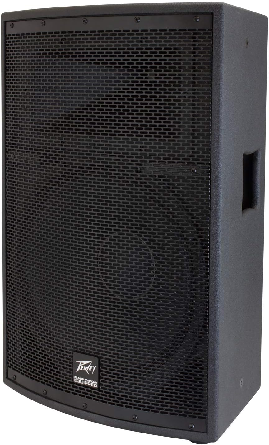 Peavey PVSP2 1000W 2-Way PA Speaker System