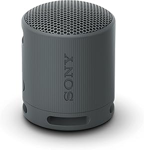 Sony SRSXB100/B Bluetooth Portable Speaker - Black — main product image